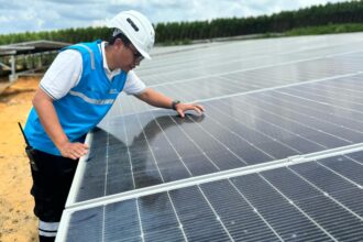 Petugas PLN Nusantara Power mengecek panel surya di PLTS IKN. Foto: Dok PLN