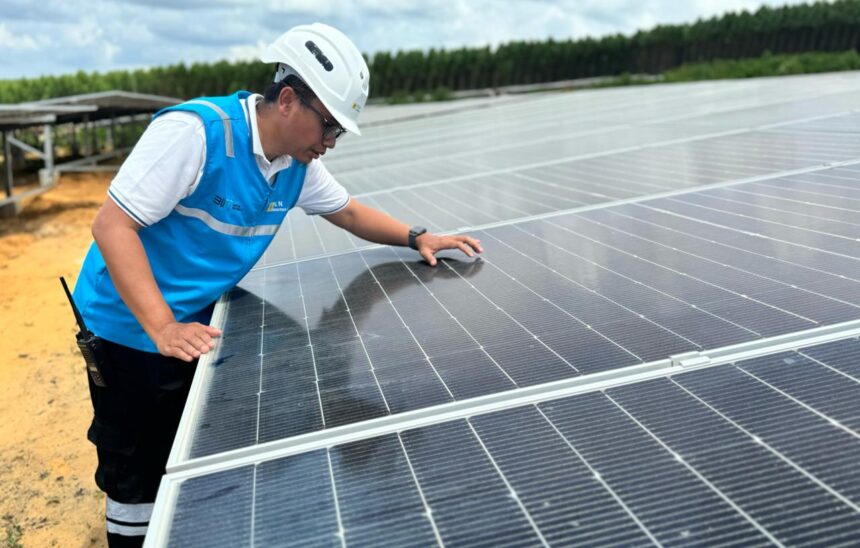 Petugas PLN Nusantara Power mengecek panel surya di PLTS IKN. Foto: Dok PLN