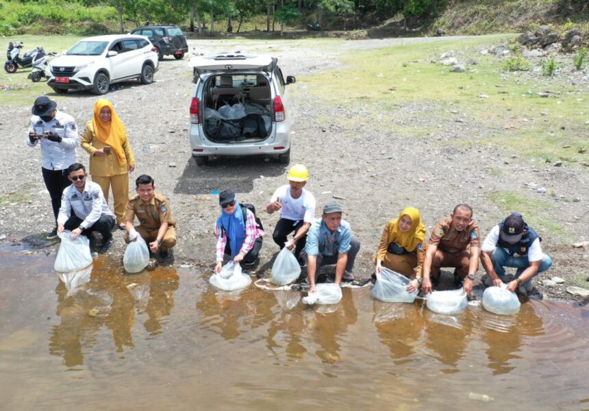 Pemerintah Provinsi (Pemprov) Sulsel melalui Dinas Kelautan dan Perikanan kembali menebar benih ikan di Kabupaten Bone. Hari ini, Selasa, 5 Maret 2024, 600 ribu benih ikan ditebar di tiga lokasi berbeda. Foto/pemprov sulsel