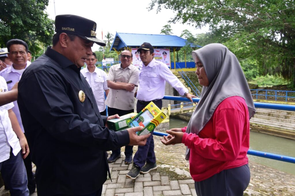 Penjabat Gubernur Sulsel, Bahtiar Baharuddin, dibantu oleh Petugas peternakan kecamatan menyuntikkan sperma sapi simental ke ternak warga.