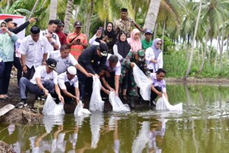 PJ Gubernur Sulawesi Selatan Bahtiar Baharuddin dan Pj Bupati Bone Islamuddin kembali melakukan penebaran 400 ribu bibit ikan nila dan mas di dua lokasi di Kabupaten Bone, Rabu, 13 Maret 2024.