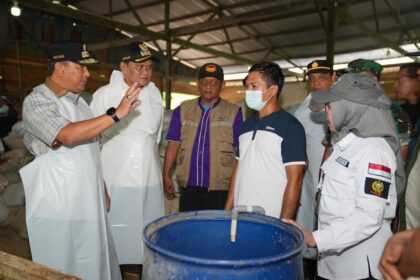 Pj Gubernur Sulawesi Selatan (Sulsel), Bahtiar saat menggalakkan Program Inseminasi Buatan di Kabupaten Barru, Jumat (22/3/2024). Foto: Pemerintah Provinsi Sulsel