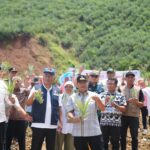 Pj Gubernur Sulawesi Selatan (Sulsel), Bahtiar Baharuddin menargetkan dalam dua tahun ke depan, Sulsel harus mampu menanam nanas lebih dari 20 ribu hektar. Foto: Pemprov Sulsel
