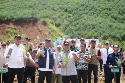 Pj Gubernur Sulawesi Selatan (Sulsel), Bahtiar Baharuddin menargetkan dalam dua tahun ke depan, Sulsel harus mampu menanam nanas lebih dari 20 ribu hektar. Foto: Pemprov Sulsel