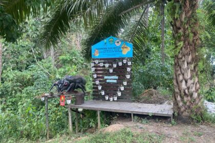 Madu Kelulut Khas Desa Teluk Dalam, Kecamatan Tenggarong Seberang, Kabupaten Kutai Kartanegara. Foto: Diskominfokukar