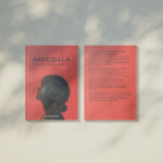 Cover Buku Amigdala: Residu yang Bersemayam. Foto: Dok Mpokgaga