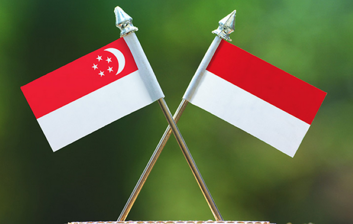RI-Singapura berlakukan perjanjian ekstradisi dan dua perjanjian lainnya secara serentak. Foto: Flip
