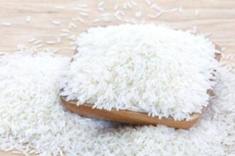 Ilustrasi harga beras memengaruhi inflasi di bulan Februari. Foto: Ist