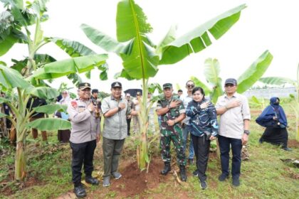 Pj Gubernur Bahtiar didampingi Sekda Kabupaten Gowa dan Dandim mengecek lahan pisang Cavendish Kodim 1409 Gowa, di Tamarunang, Kecamatan Somba Opu, Kabupaten Gowa, Selasa (12/3/2024). Foto: Ist
