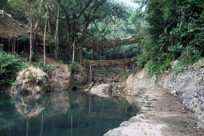 Jembatan akar Jembatan akar, Umshiang Double Decker di Meghalaya, India. Foto: world atlas