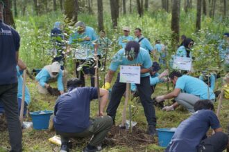 Sebagai salah satu bentuk nyata program TJSL, Finnet telah melakukan penanaman 275 pohon di kawasan Perhutani Cikole Bandung, Jawa Barat. Foto: Telkom Indonesia