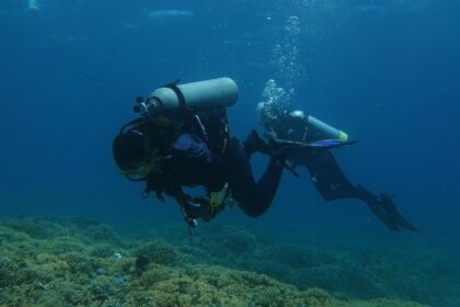 Ilustrasi aktivitas pariwisata alam perairan di dalam Kawasan Konservasi Nasional. Foto: Humas Ditjen Pengelolaan Kelautan dan Ruang Laut