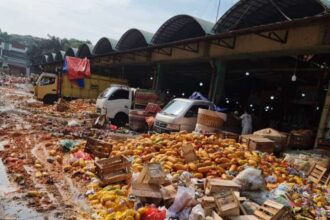 Para pedagang di Pasar Induk Kramat Jati, Kecamatan Kramat Jati, Jakarta Timur, terpaksa membuang puluhan ton pepaya dagangannya karena sepi pembeli dan harga anjlok pada Senin (22/4). Foto: Joesvicar Iqbal/ipol.id