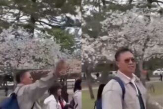 Sekelompok wisatawan asal Indonesia merusak bunga sakura di Jepang. Foto: IG, @lambe_was_was (tangkap layar)