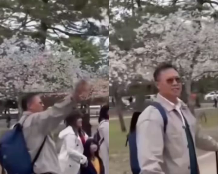Sekelompok wisatawan asal Indonesia merusak bunga sakura di Jepang. Foto: IG, @lambe_was_was (tangkap layar)