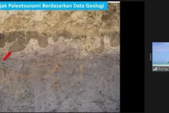 Penelitian lapisan geologi dan fosil terkait tsunami. Foto: brin.go.id