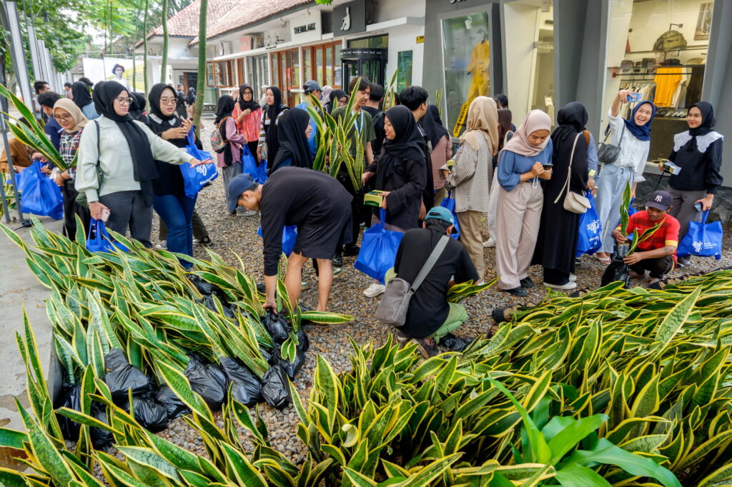 Pembagian pohon Lidah Mertua dalam rangka Industry Social Responsibility - AAJI Peduli Bumi. (Alidrian Fahwi/ipol.id)