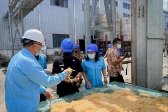 Foto : Ilustrasi Pabrik Rumput Laut di Kutai Kartanegara.