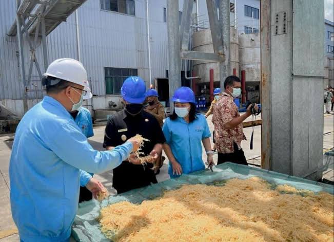 Foto : Ilustrasi Pabrik Rumput Laut di Kutai Kartanegara.