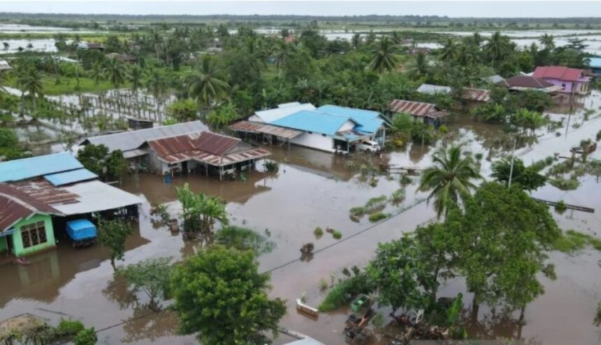 Banjir menggenangi sejumlah rumah warga di Kabupaten Merauke, Papua Selatan, Selasa (7/5/2024). Foto: BNPB