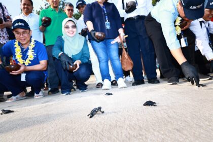 VP CSR & SMEPP PT Pertamina (Persero), Fajriyah Usman mengajak perwakilan dari seluruh perusahaan migas negara ASEAN melakukan pelepasan tukik (Anak Penyu) yang di Pantai Kelan, Tuban, Bali, Rabu (29/5/2024). Foto: Pertamina