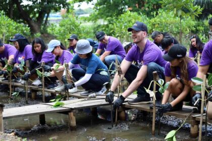 Sebanyak 30 sukarelawan FedEx bekerja sama untuk menanam 70 pohon mangrove di Pusat Ekowisata Mangrove Jakarta. Foto; FedEx