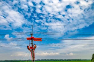 Petugas Dalam Keadaan Bertegangan melakukan pemeliharaan tenaga listrik jaringan 20 kiloVolt tanpa padam di Indramayu, Jawa Barat. Kehadiran PDKB membuat layanan listrik kepada pelanggan semakin andal. Foto: Dok PLN