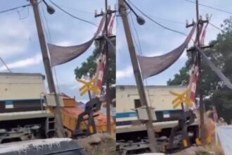 Truk bermuatan batu bata merah, ringsek setelah ditabrak KA jenis Babaranjang nomor lambung 31013 - CC 204114 di perlintasan sebidang rel kereta api. Foto: IG, @baturajaupdate (tangkap layar)