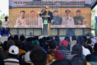 Prof Zudan berharap dengan optimalisasi lahan 500 hektare bisa ditingkatkan menjadi 5.000 hektare dan panen bisa meningkat. Foto: Dok Humas