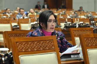 Anggota Komisi VI DPR RI Rieke Diah Pitaloka saat interupsi di Rapat Paripurna DPR RI, Selasa (4/6/2024). Foto: Parlementaria
