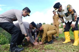 Pj Gubernur Sulbar, Bahtiar saat melakukan penanaman pohon bersama Forkompinda Sulbar.(foto dok pemprov)