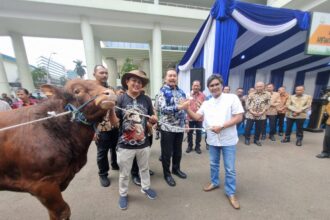 Jaksa Agung ST Burhanuddin saat menyerahkan secara simbolik satu ekor sapi kepada Forwaka (Forum Wartawan Kejaksaan Agung), yang diterima langsung Ketua Forwaka Zamzam Siregar, wartawan senior Harian Terbit. Foto: Yudha Krastawan/ipol.id