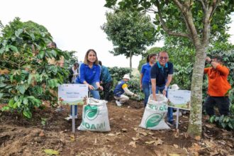 Revitalisasi untuk Meningkatkan Kesejahteraan Petani - EVP Corporate Communication and Social Responsibility BCA, Hera F Haryn (kiri) saat melakukan pemupukan pohon kopi di Desa Tugu Utara, Kabupaten Bogor, Jawa Barat, belum lama ini. Foto: Ist