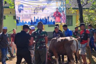 Yonif 330 Tri Dharma saat melaksanakan penyembelihan hewan qurban bertempat di Masjid Washilatul Hikmah Yonif 330, Nagreg, Kabupaten Bandung, Jawa Barat, Senin (17/6/24). Foto: Dok Yonif 330 Tri Dharma