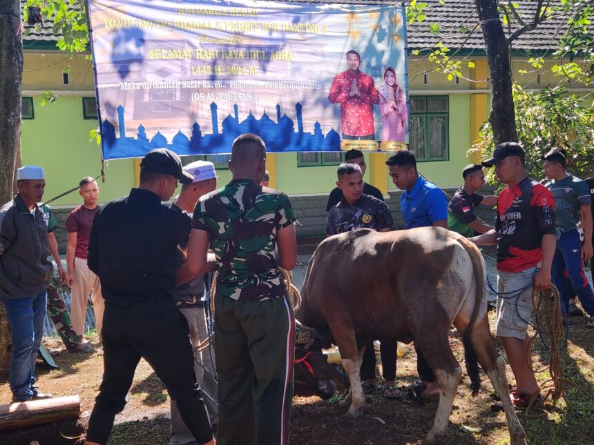 Yonif 330 Tri Dharma saat melaksanakan penyembelihan hewan qurban bertempat di Masjid Washilatul Hikmah Yonif 330, Nagreg, Kabupaten Bandung, Jawa Barat, Senin (17/6/24). Foto: Dok Yonif 330 Tri Dharma