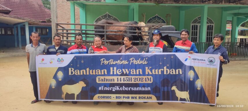 Pertamina Grup berbagi kebahagiaan dengan menyalurkan sekitar 4.493 hewan kurban di seluruh Indonesia. Rinciannya, sebanyak 2.027 sapi, 2465 ekor kambing/domba dan 1 kerbau. Foto: Dok Pertamina