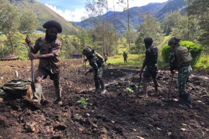 Kegiatan bercocok tanam antara Satgas Yonif 323/BP dengan masyarakat di Papua. Foto: Pen Satgas Yonif 323/BP