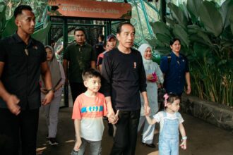 Joko Widodo mengajak Ibu Iriana beserta dua cucu yakni Jan Ethes dan La Lembah Manah saat berakhir pekan di Taman Mini Indonesia Indah (TMII), Jakarta Timur, pada Sabtu (8/6/2024). Foto: Ist