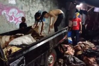 Suasana beberapa pengepul kulit hewan kurban saat menaikkan dan menata sejumlah kulit sapi ke mobil pickup di Jalan Kali Caglak, Kelurahan Cibubur, Kecamatan Ciracas, Jakarta Timur, Senin (17/6/2024) malam. Foto: Ist