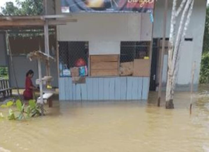 Dua Desa di Kabupaten Lamandau Masih Terendam Banjir