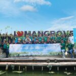 Menurut Dinas Lingkungan Hidup & Kebersihan (DLHK), kawasan Hutan Mangrove berfungsi sebagai pencegahan alami dalam melindungi pesisir dari bahaya erosi dan serangan gelombang besar. Foto: Alam Sutera