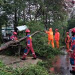 Sejumlah petugas Damkar melakukan evakuasi dua pohon tumbang di wilayah Cakung Barat, Cakung, Jakarta Timur, pada Kamis (4/7/2024) sore. Foto: Ist