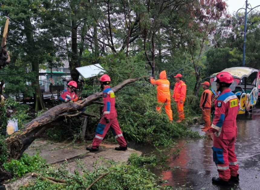 Sejumlah petugas Damkar melakukan evakuasi dua pohon tumbang di wilayah Cakung Barat, Cakung, Jakarta Timur, pada Kamis (4/7/2024) sore. Foto: Ist