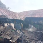 Sejumlah petugas Suku Dinas Penanggulangan Kebakaran dan Penyelamatan (Sudin Gulkarmat) Jakarta Timur berhasil memadamkan api dan proses pendinginan dilakukan di SDN 01 Pondok Bambu, Duren Sawit, yang terbakar pada Selasa (23/7/2024). Foto: Joesvicar Iqbal/ipol.id