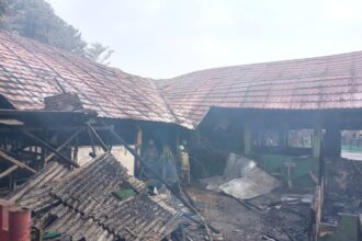 Sejumlah petugas Suku Dinas Penanggulangan Kebakaran dan Penyelamatan (Sudin Gulkarmat) Jakarta Timur berhasil memadamkan api dan proses pendinginan dilakukan di SDN 01 Pondok Bambu, Duren Sawit, yang terbakar pada Selasa (23/7/2024). Foto: Joesvicar Iqbal/ipol.id