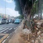 Kondisi tumpukan sampah tercecer di trotoar dan pagar pembatas di kawasan simpang Hek, di Jalan Raya Bogor, Kramat Jati, Jakarta Timur, mengalami kerusakan dan terbengkalai, Selasa (16/7/2024). Foto: Joesvicar Iqbal/ipol.id