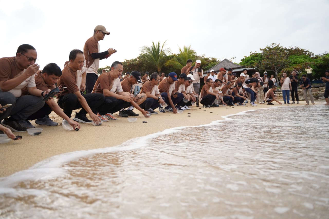 Pelepasan tukik yang dilakukan Group Business Development (GBD) Telkom Indonesia bersama anak perusahan, Finnet di pantai Nusa Dua, Bali beberapa waktu lalu. Foto: Telkom Indonesia