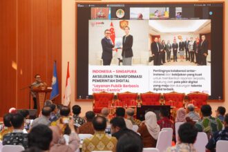 Menpan RB saat menjadi pembicara pada Seminar Nasional Ikatan Alumni Pimpinan Nasional (IKA) PIMNAS Lembaga Administrasi Negara (LAN) RI. Foto: dok humas