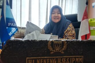 Anggota Komisi D DPRD DKI Jakarta, Neneng Hasanah.(foto dok pribadi)