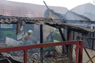 Sejumlah petugas Suku Dinas Penanggulangan Kebakaran dan Penyelamatan (Sudin Gulkarmat) Jakarta Timur, melakukan pendinginan di SDN Pondok Bambu 01, Duren Sawit, pada Selasa (23/7/2024) siang. Foto: Joesvicar Iqbal/ipol.id